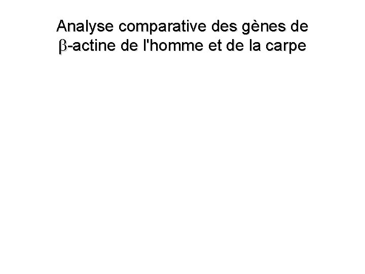Analyse comparative des gènes de b-actine de l'homme et de la carpe 