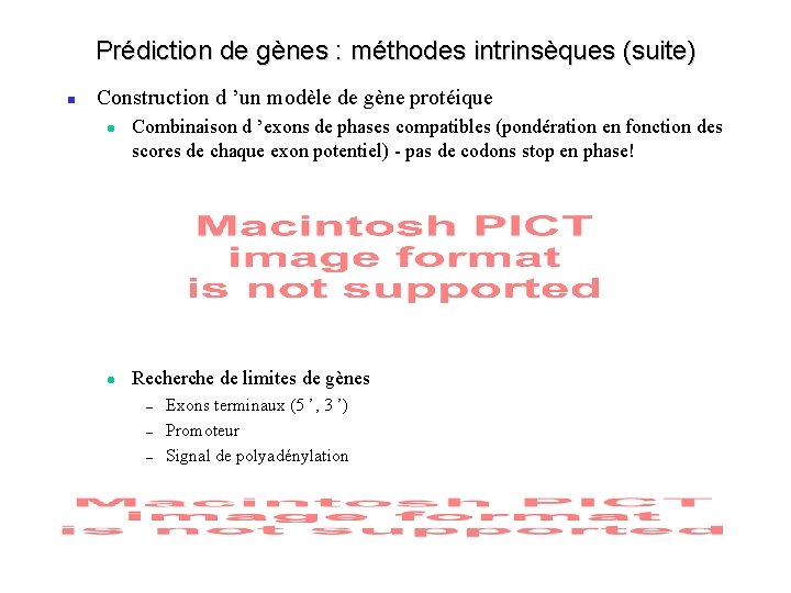 Prédiction de gènes : méthodes intrinsèques (suite) Construction d ’un modèle de gène protéique