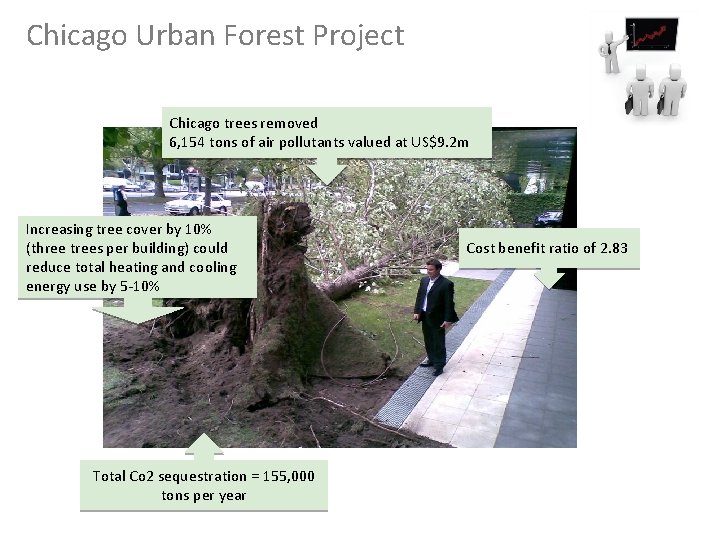 Chicago Urban Forest Project Chicago trees removed 6, 154 tons of air pollutants valued