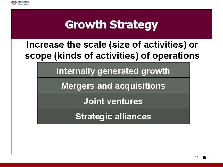 Growth Strategy Increase the scale (size of activities) or scope (kinds of activities) of