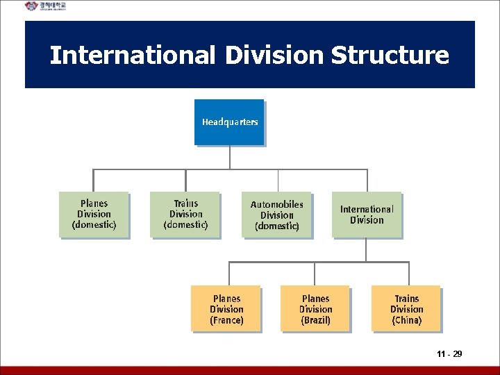 International Division Structure 11 - 29 