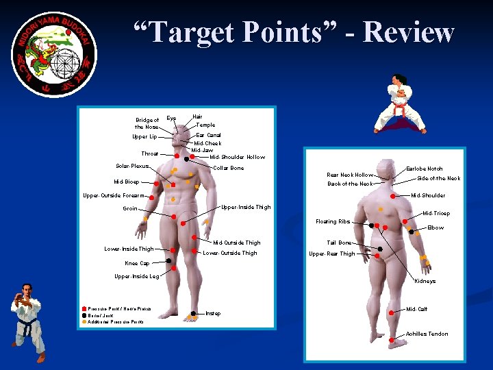 “Target Points” - Review Bridge of the Nose Upper Lip Throat Solar-Plexus Eye Hair