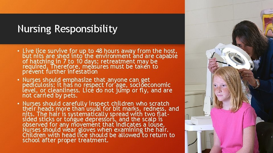 Nursing Responsibility • Live lice survive for up to 48 hours away from the