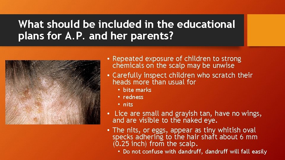 What should be included in the educational plans for A. P. and her parents?