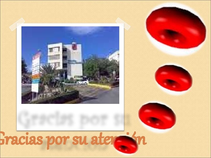 Gracias por su atención 