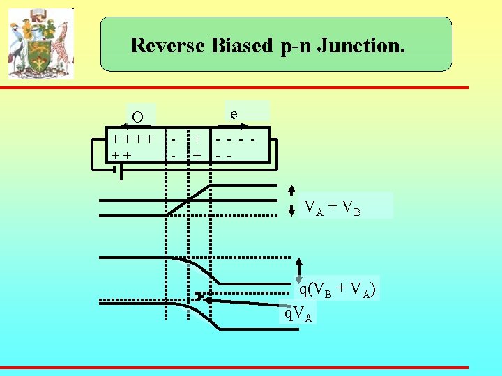 Reverse Biased p-n Junction. e O + + + - - - - VA