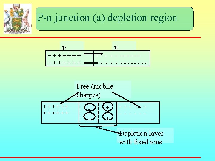 P-n junction (a) depletion region p n + + + + - - -