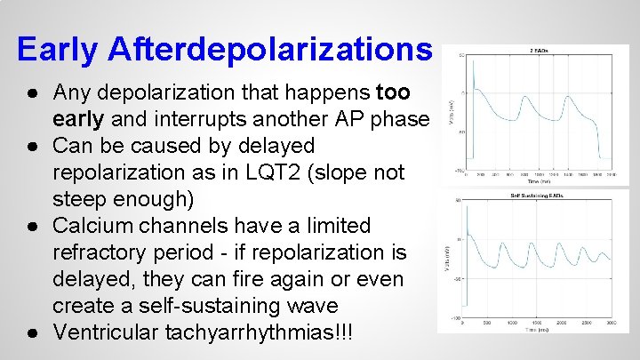 Early Afterdepolarizations ● Any depolarization that happens too early and interrupts another AP phase