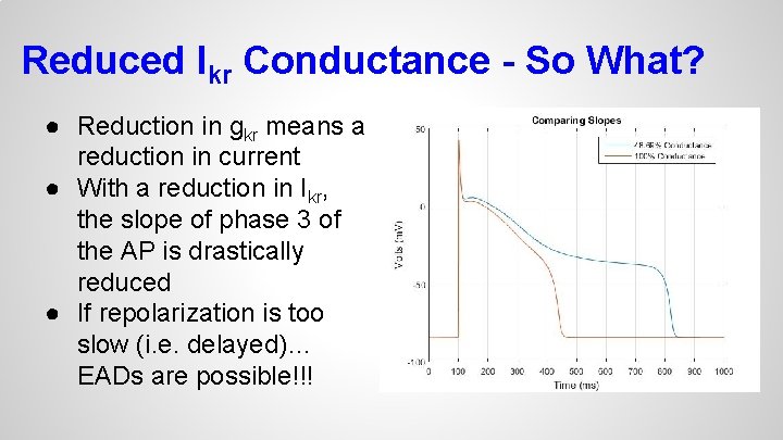 Reduced Ikr Conductance - So What? ● Reduction in gkr means a reduction in