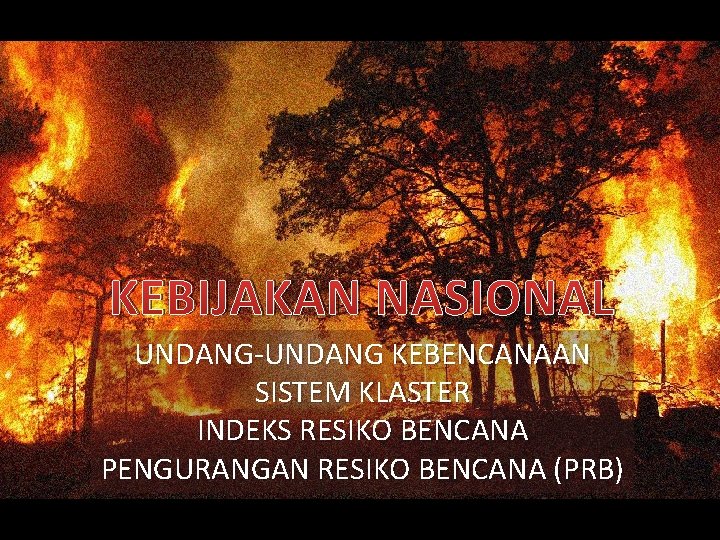 KEBIJAKAN NASIONAL UNDANG-UNDANG KEBENCANAAN SISTEM KLASTER INDEKS RESIKO BENCANA PENGURANGAN RESIKO BENCANA (PRB) 