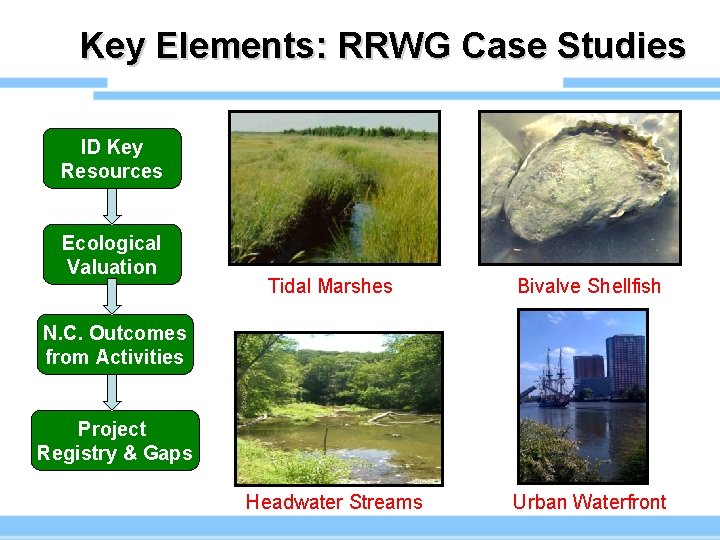 Key Elements: RRWG Case Studies ID Key Resources Ecological Valuation Tidal Marshes Bivalve Shellfish