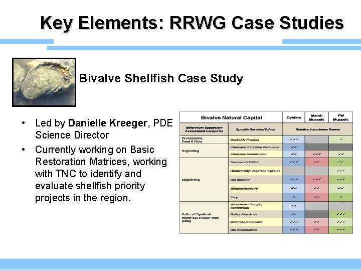 Key Elements: RRWG Case Studies Bivalve Shellfish Case Study • Led by Danielle Kreeger,