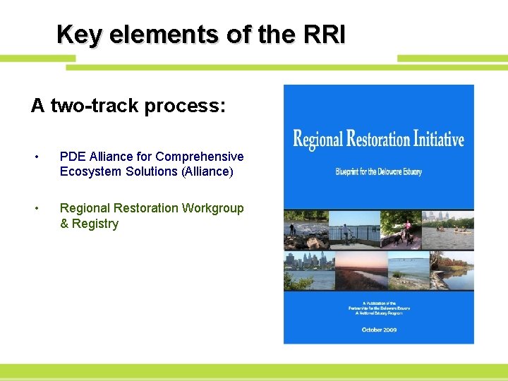 Key elements of the RRI A two-track process: • PDE Alliance for Comprehensive Ecosystem