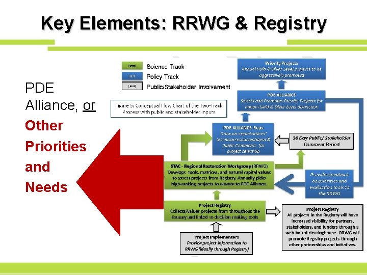 Key Elements: RRWG & Registry PDE Alliance, or Other Priorities and Needs 