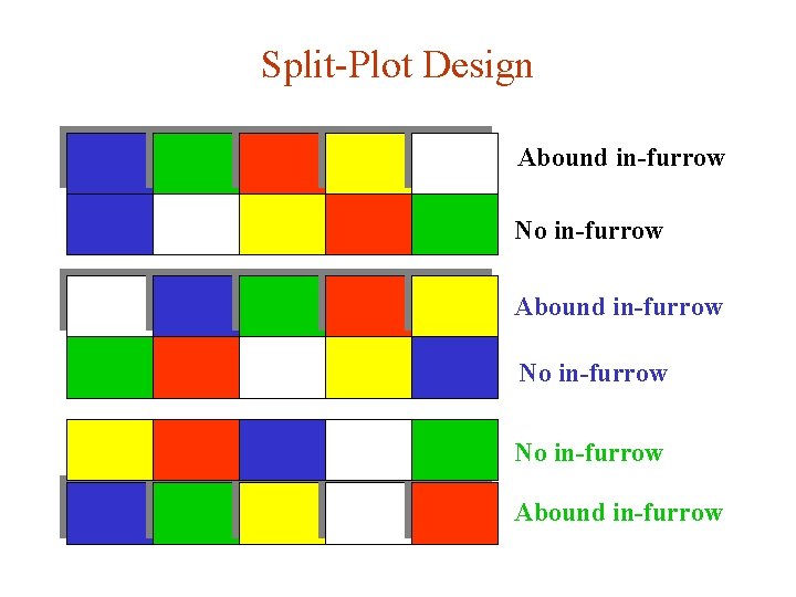 Split-Plot Design Abound in-furrow No in-furrow Abound in-furrow 