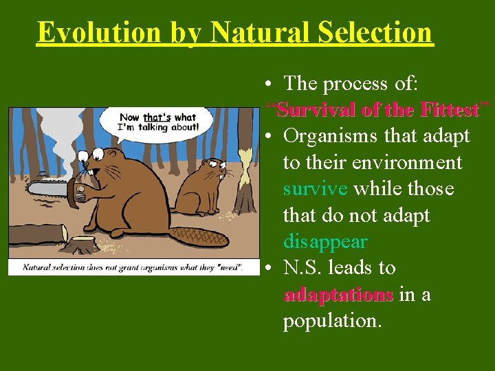 Evolution by Natural Selection • The process of: “Survival of the Fittest” Fittest •