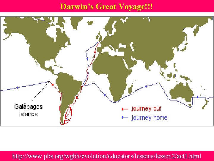 Darwin’s Great Voyage!!! http: //www. pbs. org/wgbh/evolution/educators/lesson 2/act 1. html 