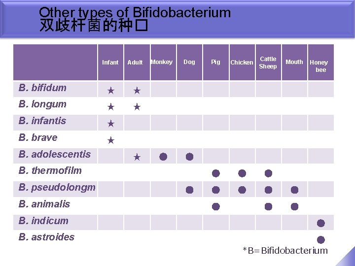 Other types of Bifidobacterium 双歧杆菌的种� Infant Adult Monkey Dog Pig Chicken Cattle Sheep Mouth