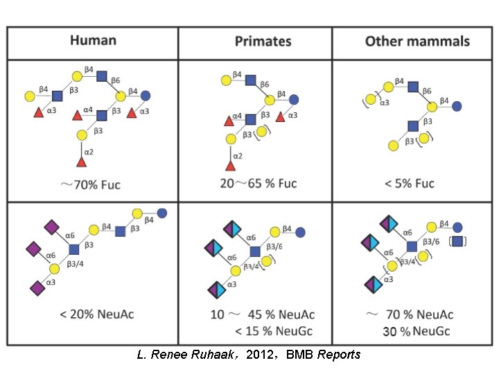 L. Renee Ruhaak，2012，BMB Reports 