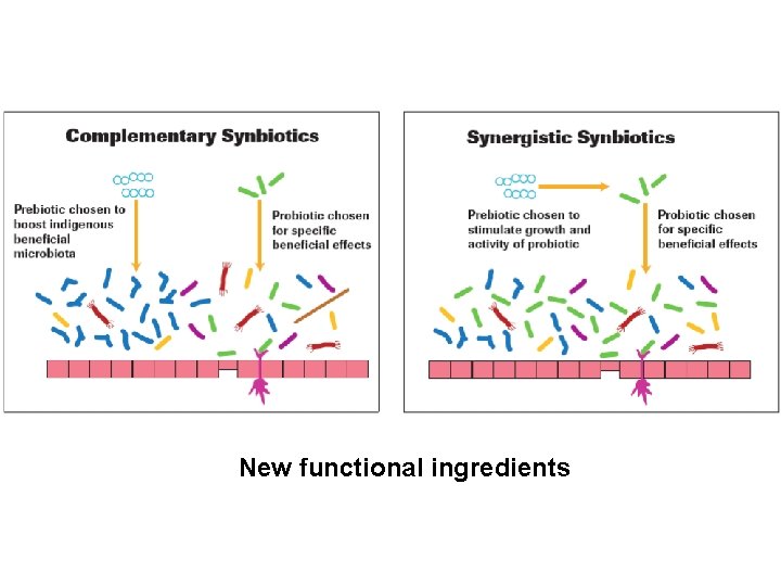 New functional ingredients 