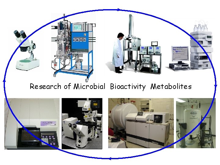 Research of Microbial Bioactivity Metabolites 
