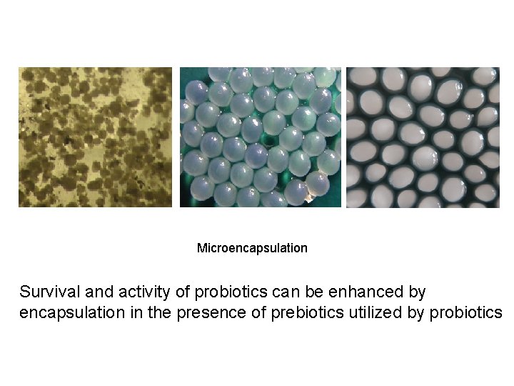 Microencapsulation Survival and activity of probiotics can be enhanced by encapsulation in the presence