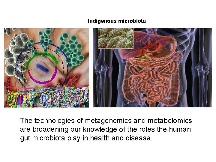 Indigenous microbiota The technologies of metagenomics and metabolomics are broadening our knowledge of the