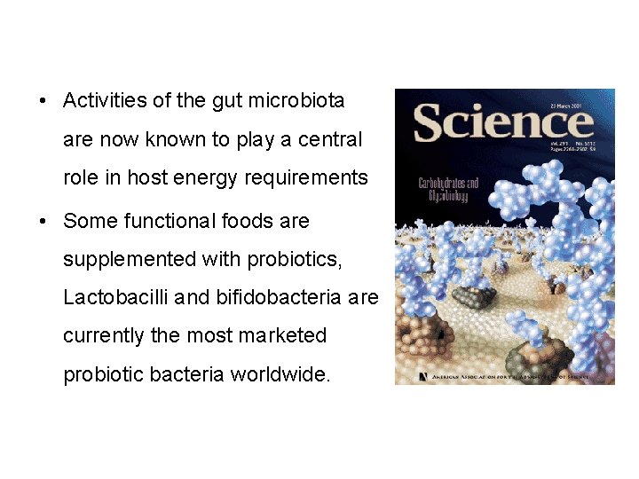  • Activities of the gut microbiota are now known to play a central