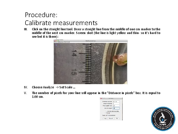 Procedure: Calibrate measurements III. Click on the straight line tool. Draw a straight line