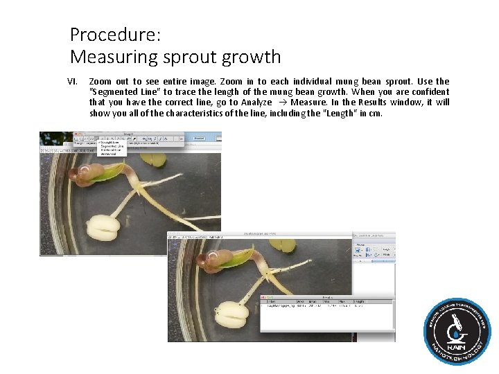 Procedure: Measuring sprout growth VI. Zoom out to see entire image. Zoom in to