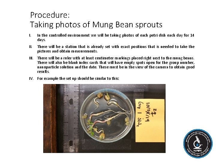 Procedure: Taking photos of Mung Bean sprouts I. In the controlled environment we will