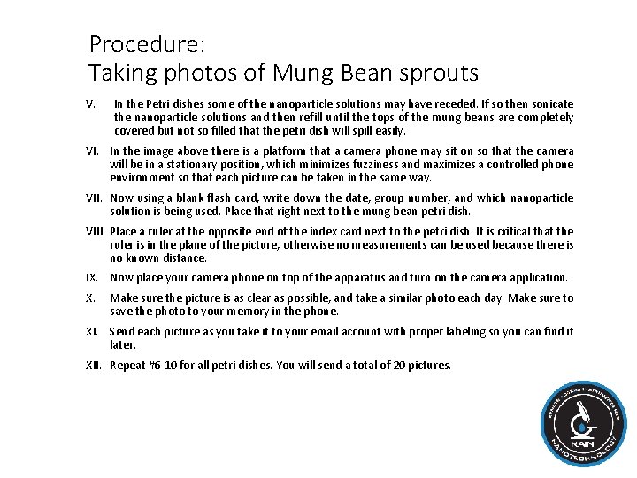 Procedure: Taking photos of Mung Bean sprouts V. In the Petri dishes some of