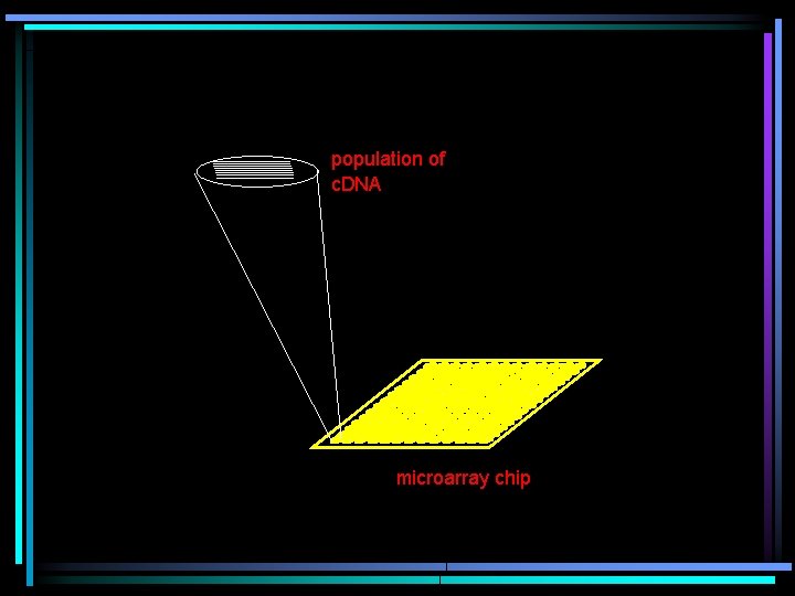 population of c. DNA microarray chip 