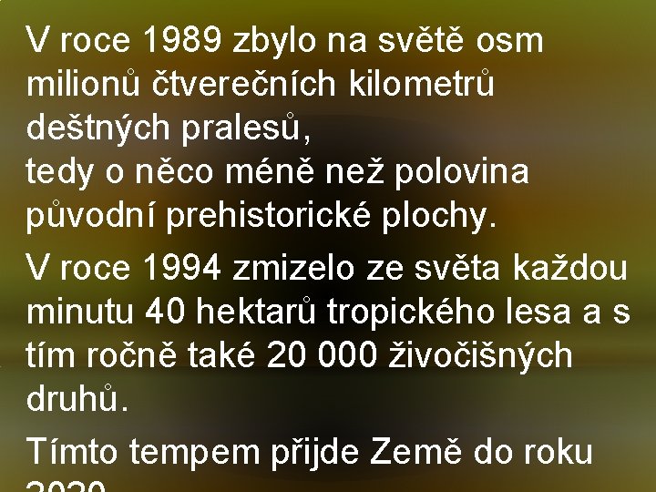 V roce 1989 zbylo na světě osm milionů čtverečních kilometrů deštných pralesů, tedy o