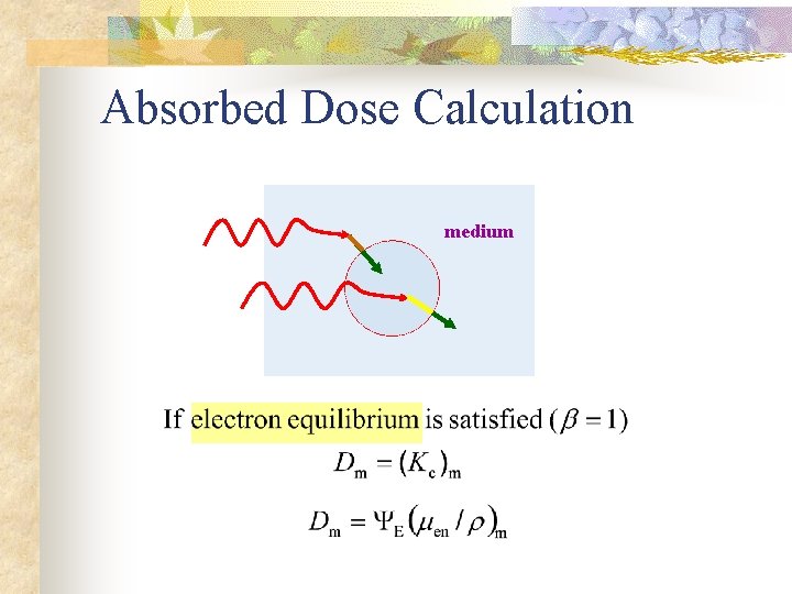 Absorbed Dose Calculation medium Absorbed Dose Calculation medium