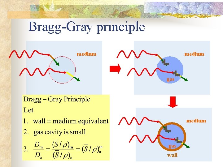 Bragg-Gray principle medium gas wall Bragg-Gray principle medium gas wall