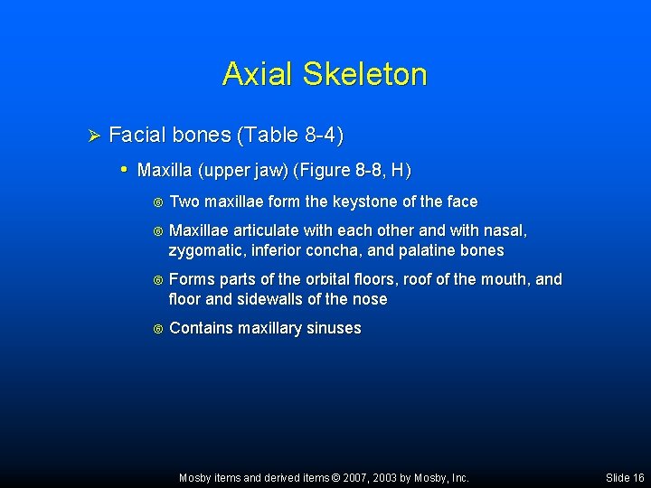 Axial Skeleton Ø Facial bones (Table 8 -4) • Maxilla (upper jaw) (Figure 8