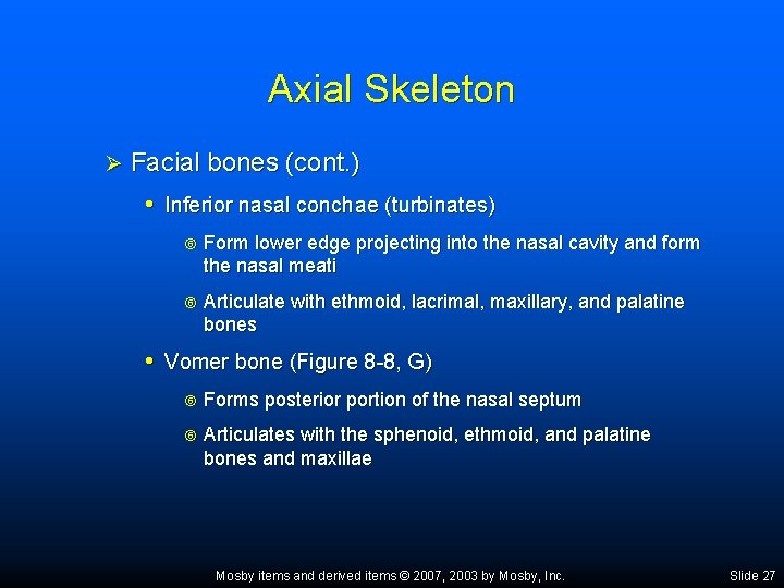 Axial Skeleton Ø Facial bones (cont. ) • Inferior nasal conchae (turbinates) Form lower