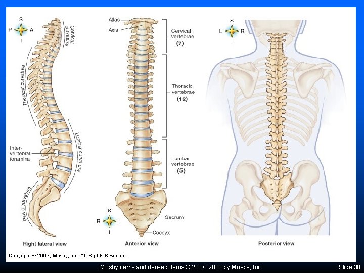 Mosby items and derived items © 2007, 2003 by Mosby, Inc. Slide 38 