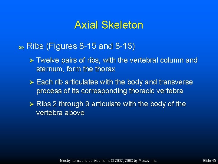 Axial Skeleton Ribs (Figures 8 -15 and 8 -16) Ø Twelve pairs of ribs,