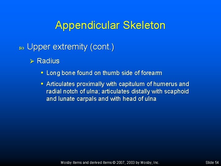 Appendicular Skeleton Upper extremity (cont. ) Ø Radius • Long bone found on thumb