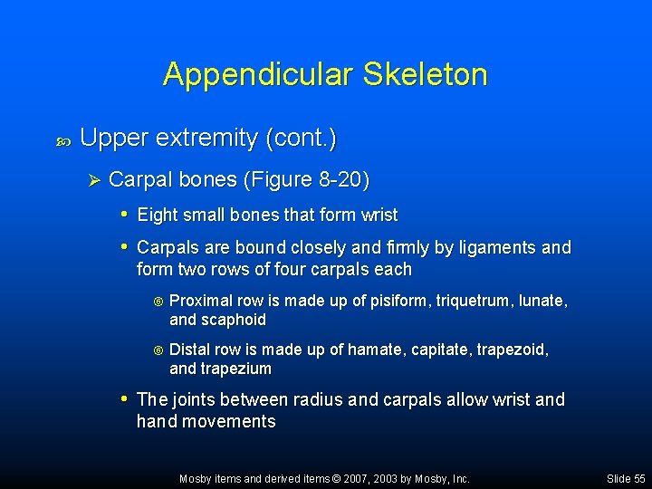 Appendicular Skeleton Upper extremity (cont. ) Ø Carpal bones (Figure 8 -20) • Eight