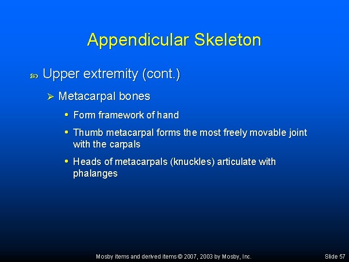 Appendicular Skeleton Upper extremity (cont. ) Ø Metacarpal bones • Form framework of hand