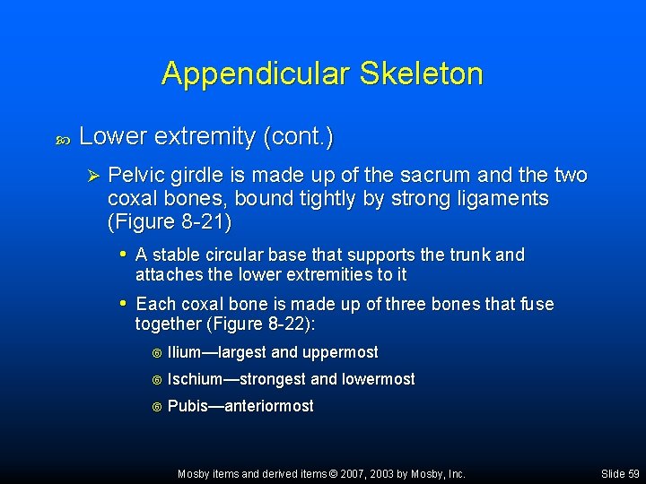 Appendicular Skeleton Lower extremity (cont. ) Ø Pelvic girdle is made up of the