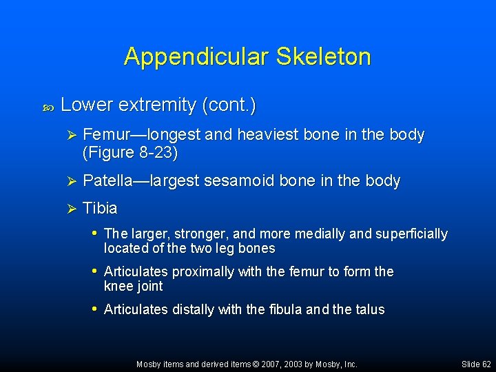 Appendicular Skeleton Lower extremity (cont. ) Ø Femur—longest and heaviest bone in the body