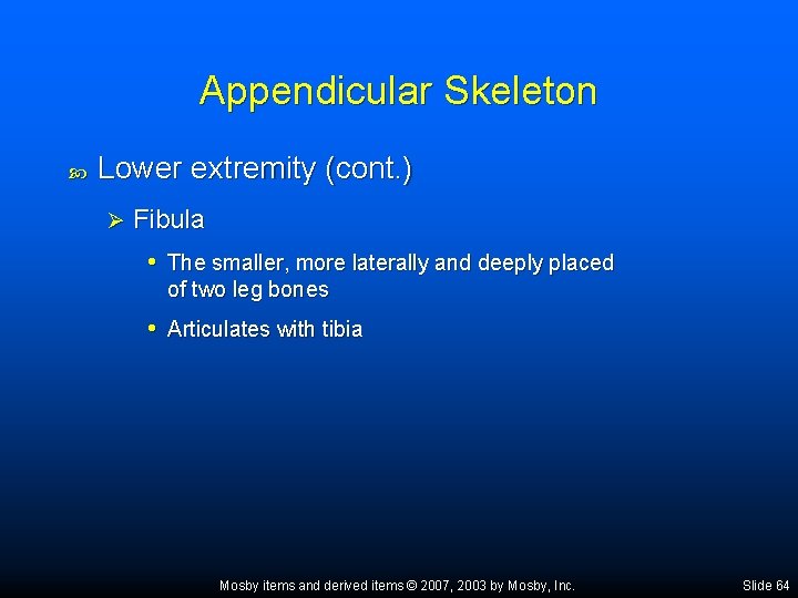 Appendicular Skeleton Lower extremity (cont. ) Ø Fibula • The smaller, more laterally and