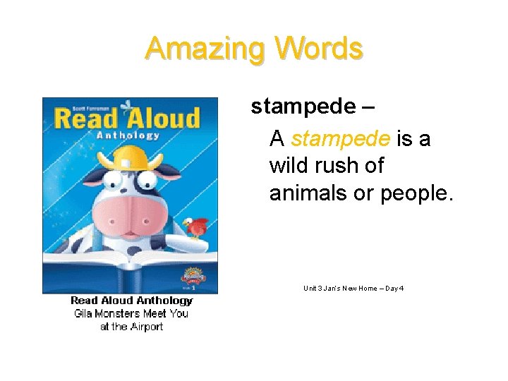 Amazing Words stampede – A stampede is a wild rush of animals or people.