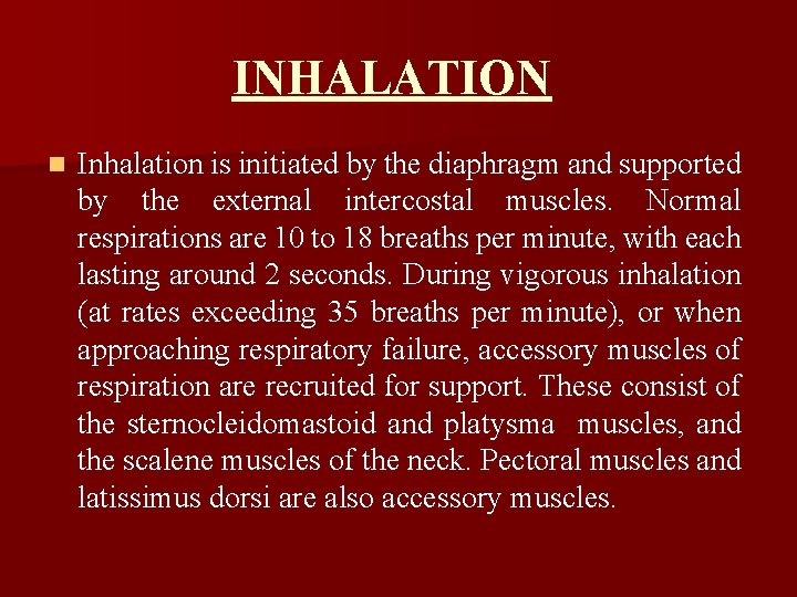 INHALATION n Inhalation is initiated by the diaphragm and supported by the external intercostal