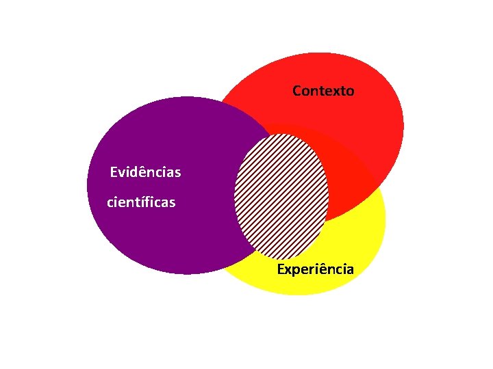 Contexto Evidências científicas Experiência 