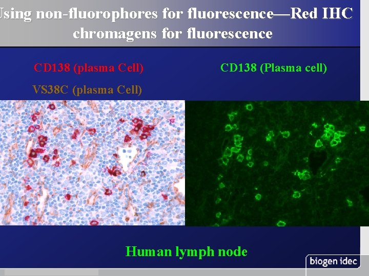 Using non-fluorophores for fluorescence—Red IHC chromagens for fluorescence CD 138 (plasma Cell) CD 138